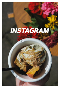 Follow Circle V on Instagram